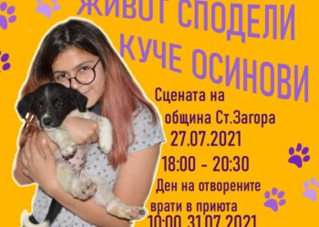 Младежи с кампания за осиновяване на бездомни кучета