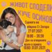 Младежи с кампания за осиновяване на бездомни кучета 8 Младежи с кампания за осиновяване на бездомни кучета