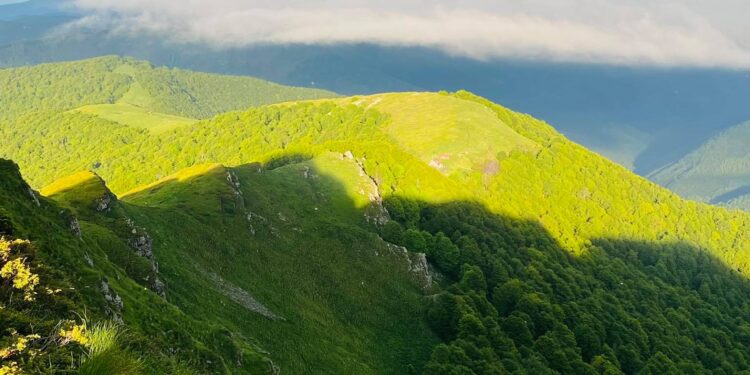 По пътя за Вълчата глава