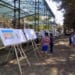 Рисунки на поморийски деца са в новия парк на Инедже