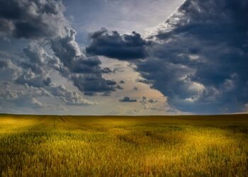 Повече облаци днес, температурите падат