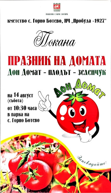 Дон домат