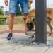 Домашните любимци в Ямбол се разхлаждат с втора чешмичка
