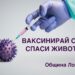 Доброволци призовават жителите на Ловеч да се ваксинират