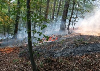 Доброволци гасят многократно пожара над Нареченски бани и Югово