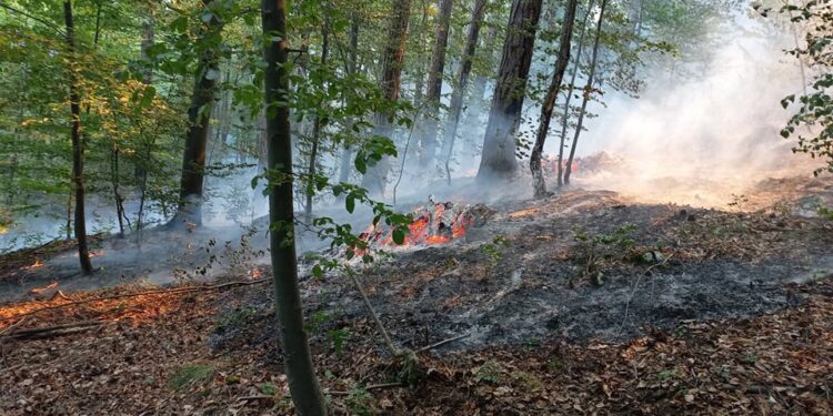 Доброволци гасят многократно пожара над Нареченски бани и Югово