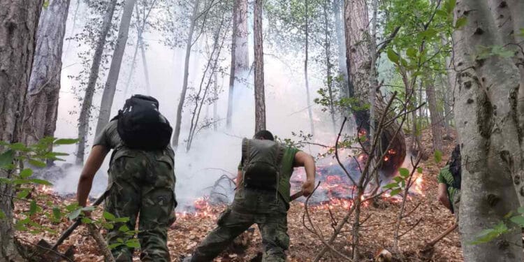 Военни се включиха в овладяването на огъня