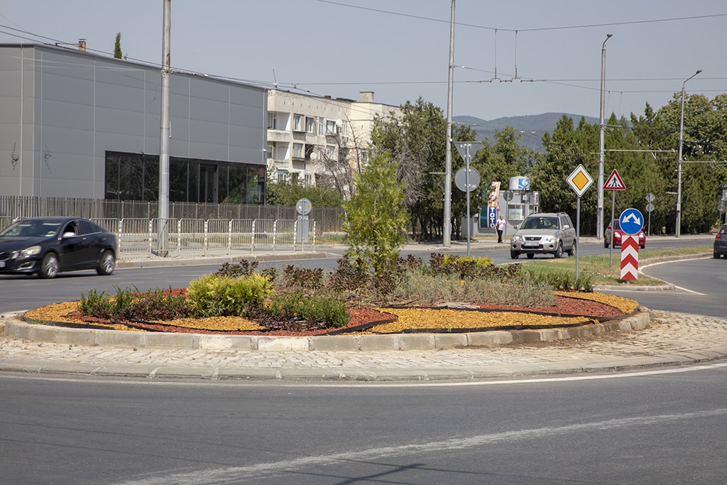 IMG 0097 1
