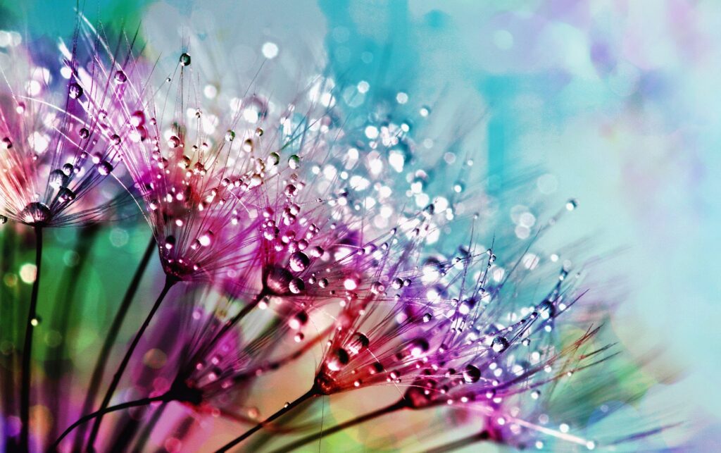 nature 3061436 1920