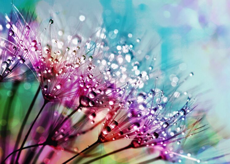 Снимка: Pixabay