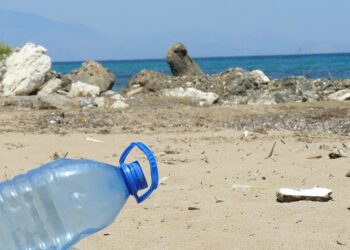 Учени от БАН с план за борба с пластмасата в Черно море