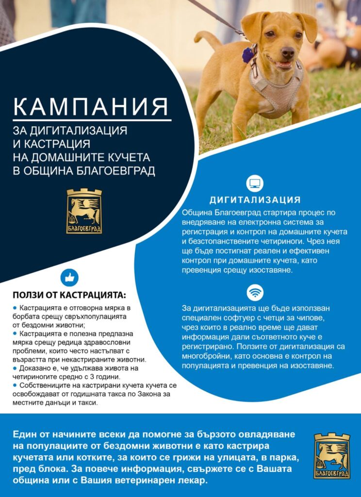 брошура