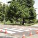 Обновяват “зебри” около училища и градини в Стара Загора