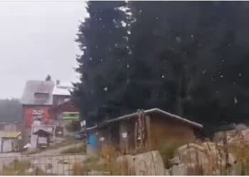 Сняг вали на Витоша (Видео)