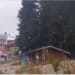 Сняг вали на Витоша (Видео)