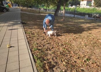 Асеновград проверява домашните кучета с четец за чипове