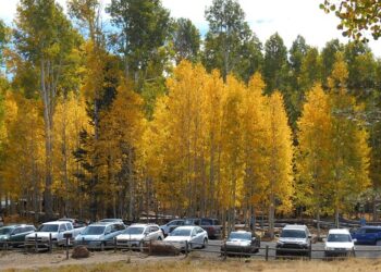 parked cars 5902247 640