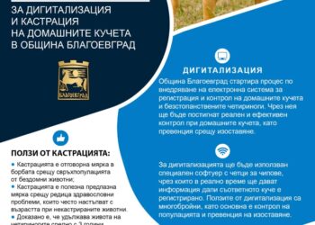 Домоуправители на лов за четириноги в Благоевград