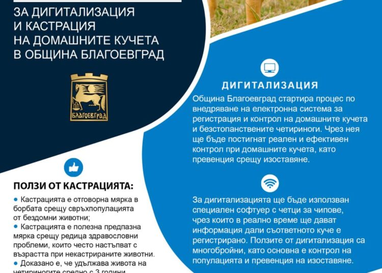 брошура