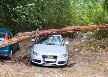 Силна буря предизвика хаос в Ловеч