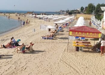 Шведска компания пробива на пазара с картофено мляко