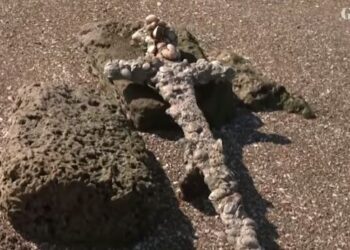 Водолаз откри случайно уникален меч от Кръстоносните походи (Видео)