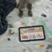 Nokia пусна първи таблет, има режим за най-малките 8 Nokia пусна първи таблет, има режим за най-малките