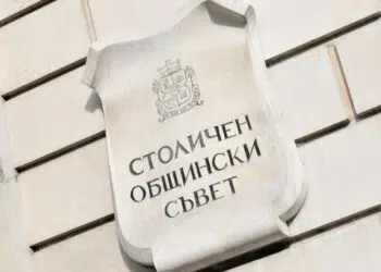 СОС иска компенсации от държавата заради скъпия газ