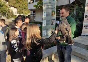 Грабливи птици зарадваха децата на Ловеч в „Нощта на прилепите“
