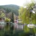 Клептуза