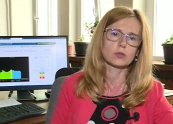 Доц.Трифонова: 20 земетресения са ударили Велинград за 10 дни