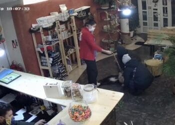 Мъж и жена избягаха с кучето си от клиника и залостиха служителите заради сметка от 4200 лева