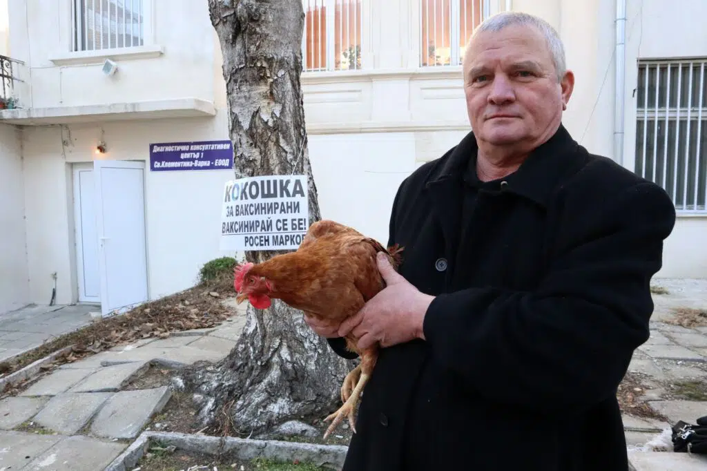Дават жива кокошка на всеки, който се ваксинира 1 Кокошка заа всеки ваксинирал се във Варна