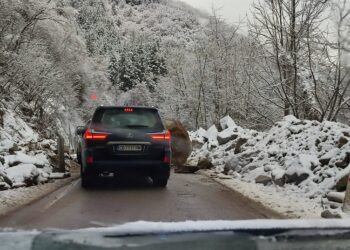 Срутени скали блокираха пътя София – Самоков