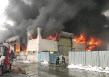снимката е илюстративна