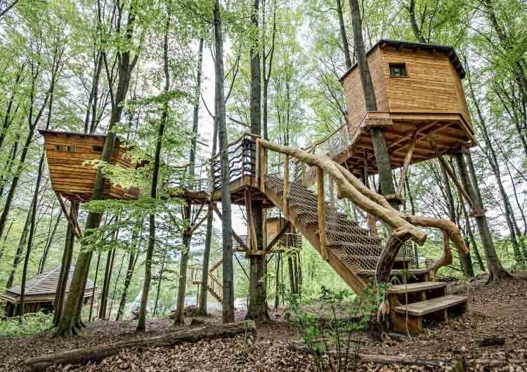 german treehouses