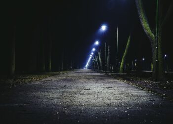 night g671fe1910 640