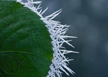 Температурите падат до минус 12° тази седмица