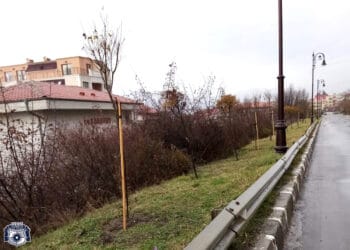 Над 1700 дръвчета засаждат в Община Несебър