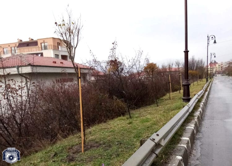 Свети Влас2