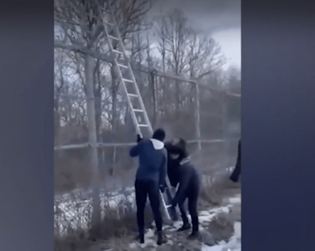 Трафиканти показаха как се преодолява оградата на българската граница 1 нелегални мигранти ограда