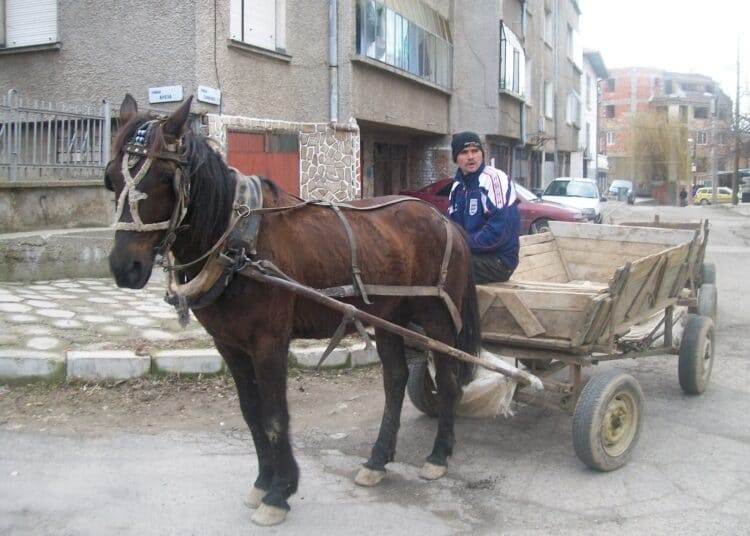 Снимката