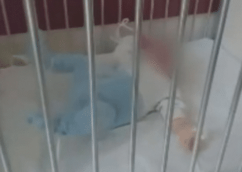 Връзват бебета в сливенската педиатрия, стоят без надзор цяла нощ