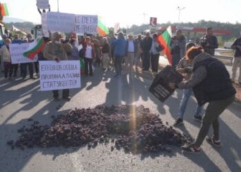 Лозари излизат на протест в цялата страна