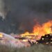 Голям пожар в зеленчуковата борса край Петрич
