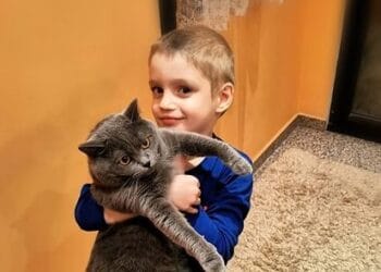 Днес е Световен ден на котките