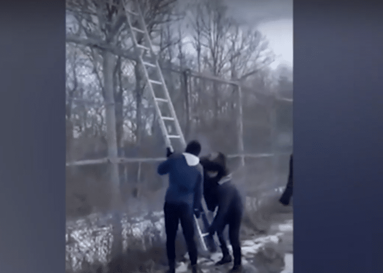 Снимка: Нова телевизия