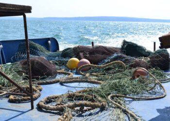 Страх затвори Черно море за рибарите. Те: Държавата не иска да поеме отговорност