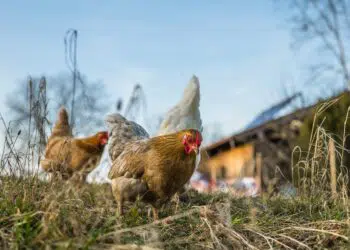 Снимката е илюстративна