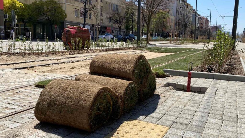 линеен парк